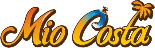 웨이브파크BI